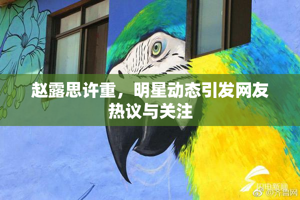 赵露思许重，明星动态引发网友热议与关注