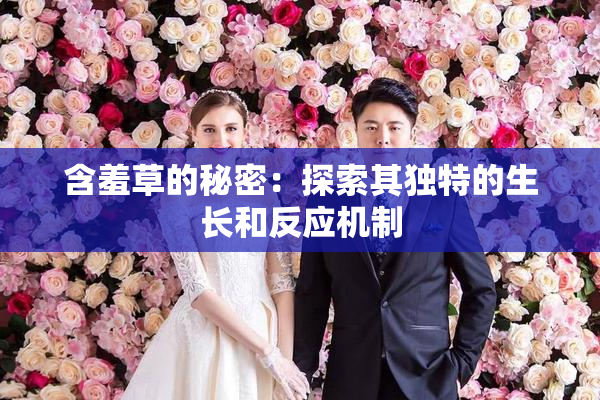 含羞草的秘密：探索其独特的生长和反应机制
