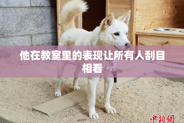 他在教室里的表现让所有人刮目相看
