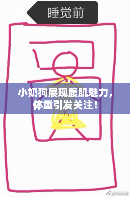 小奶狗展现腹肌魅力，体重引发关注！