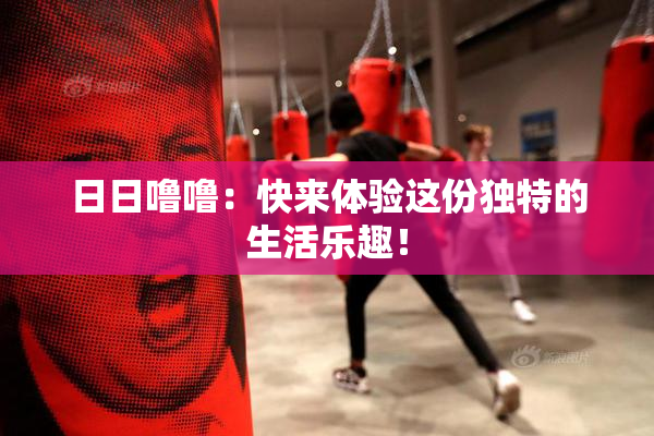 日日噜噜：快来体验这份独特的生活乐趣！