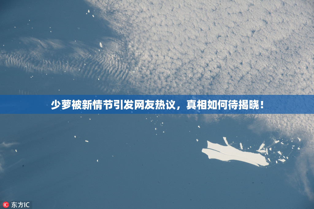少萝被新情节引发网友热议，真相如何待揭晓！