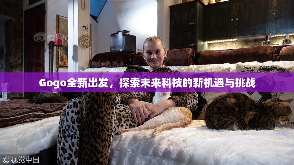 Gogo全新出发，探索未来科技的新机遇与挑战