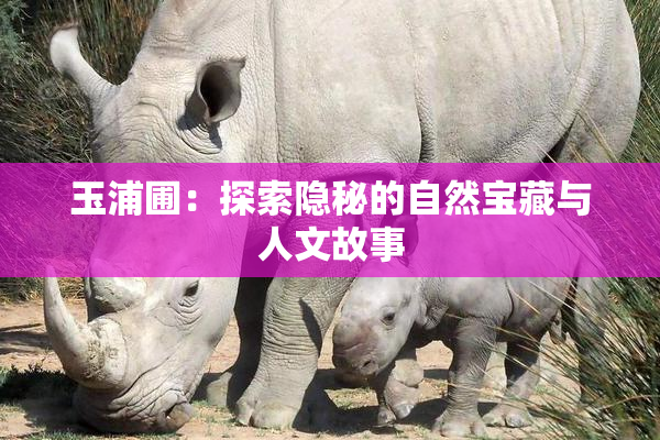 玉浦圃：探索隐秘的自然宝藏与人文故事
