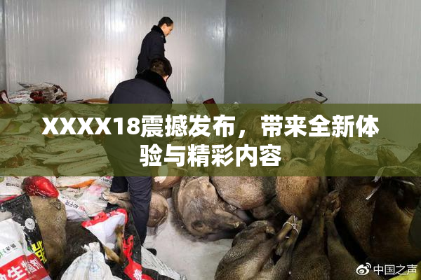 XXXX18震撼发布，带来全新体验与精彩内容