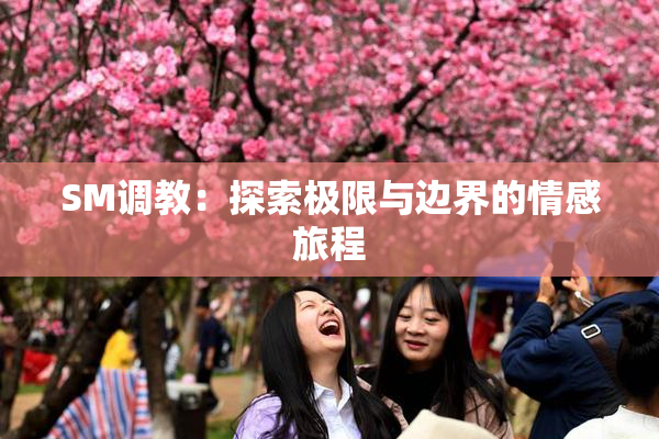SM调教：探索极限与边界的情感旅程