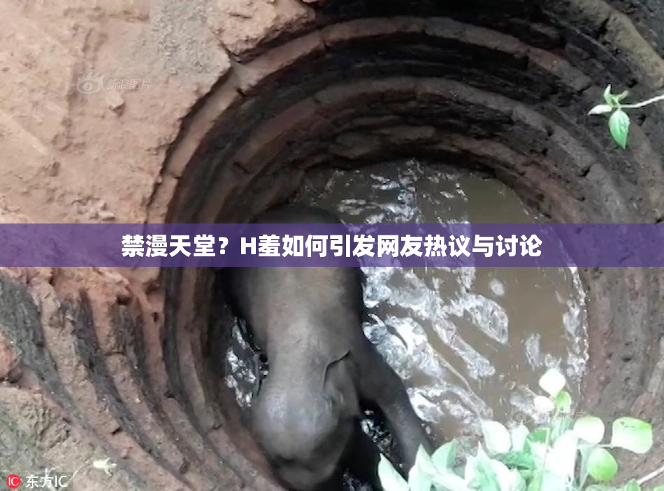 禁漫天堂？H羞如何引发网友热议与讨论