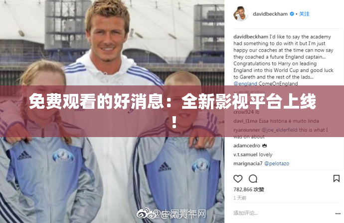 免费观看的好消息：全新影视平台上线！