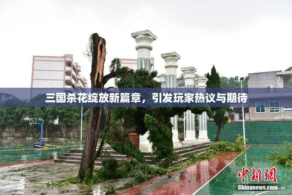 三国杀花绽放新篇章，引发玩家热议与期待