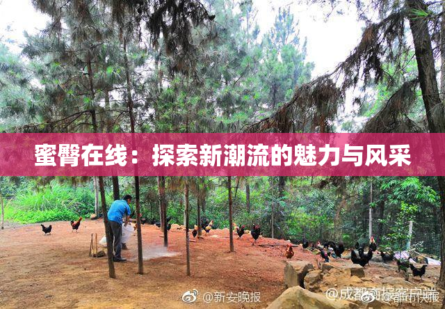 蜜臀在线：探索新潮流的魅力与风采