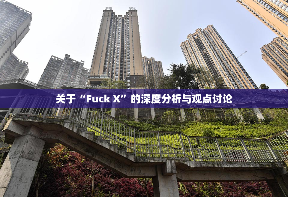 关于“Fuck X”的深度分析与观点讨论
