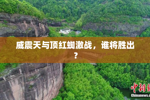 威震天与顶红蜘激战，谁将胜出？