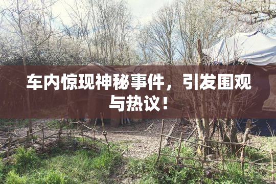 车内惊现神秘事件，引发围观与热议！