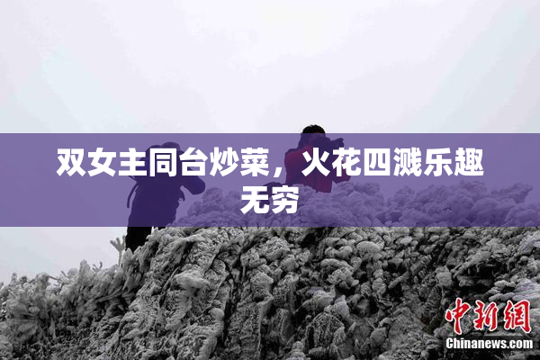 双女主同台炒菜，火花四溅乐趣无穷