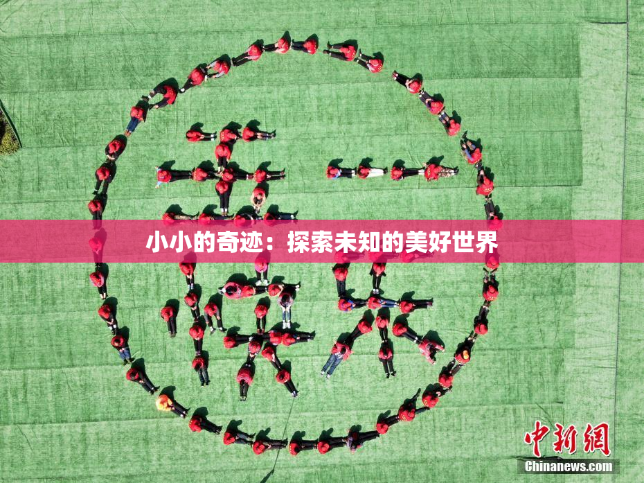 小小的奇迹：探索未知的美好世界