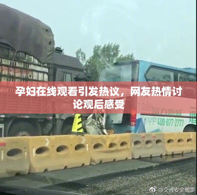 孕妇在线观看引发热议，网友热情讨论观后感受