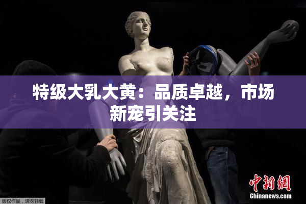 特级大乳大黄：品质卓越，市场新宠引关注