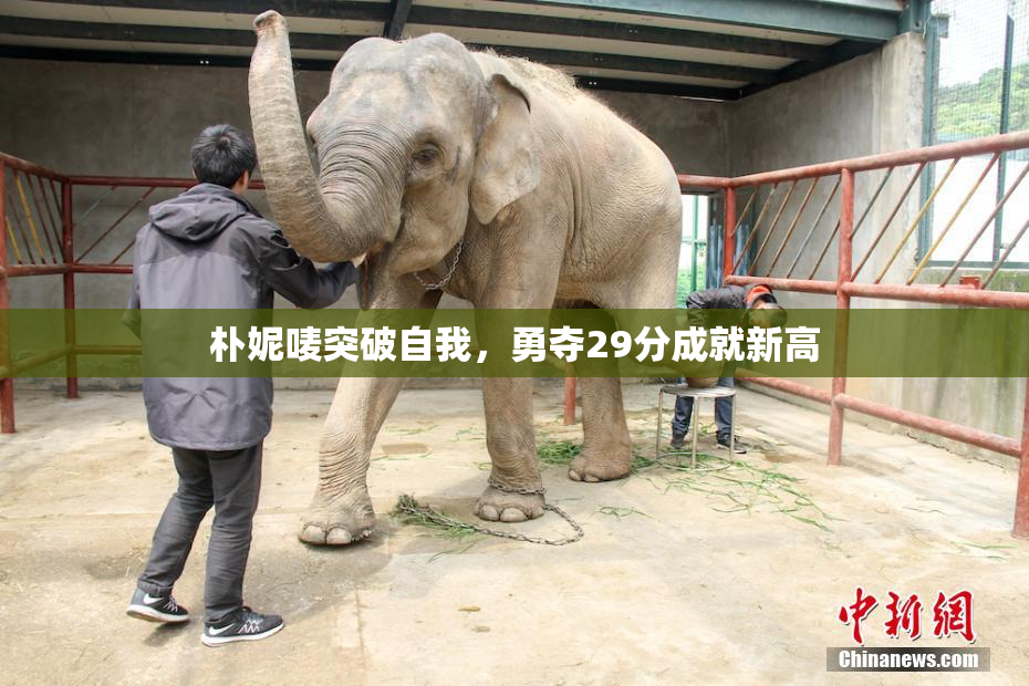 朴妮唛突破自我，勇夺29分成就新高