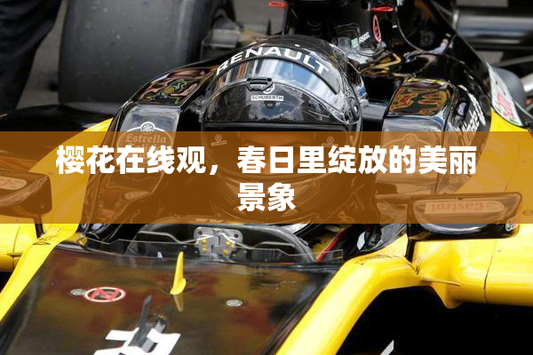 樱花在线观，春日里绽放的美丽景象