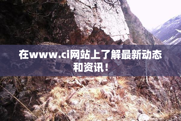 在www.ci网站上了解最新动态和资讯！