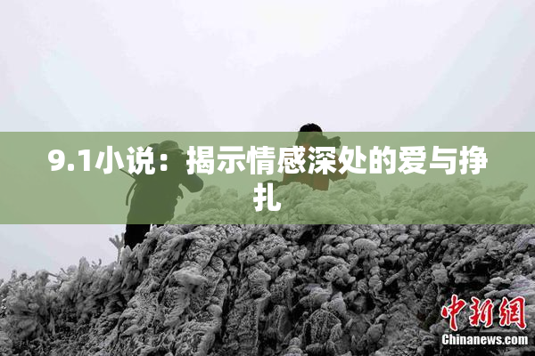 9.1小说：揭示情感深处的爱与挣扎