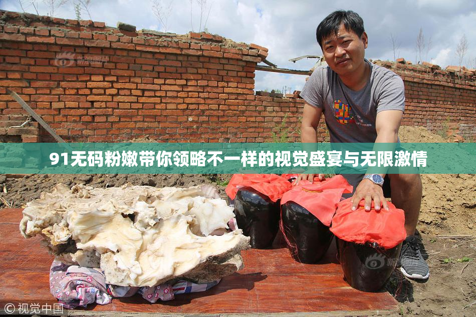 91无码粉嫩带你领略不一样的视觉盛宴与无限激情