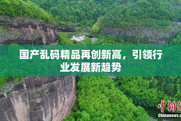 国产乱码精品再创新高，引领行业发展新趋势