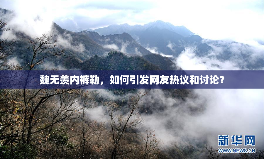魏无羡内裤勒，如何引发网友热议和讨论？