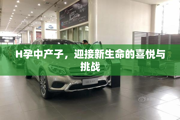 H孕中产子，迎接新生命的喜悦与挑战