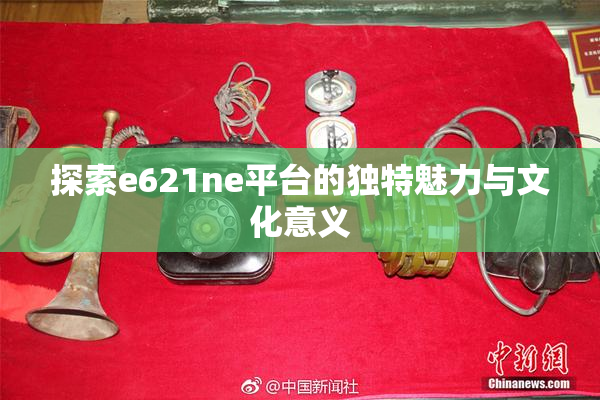 探索e621ne平台的独特魅力与文化意义