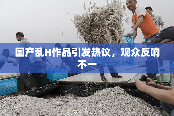 国产乱H作品引发热议，观众反响不一