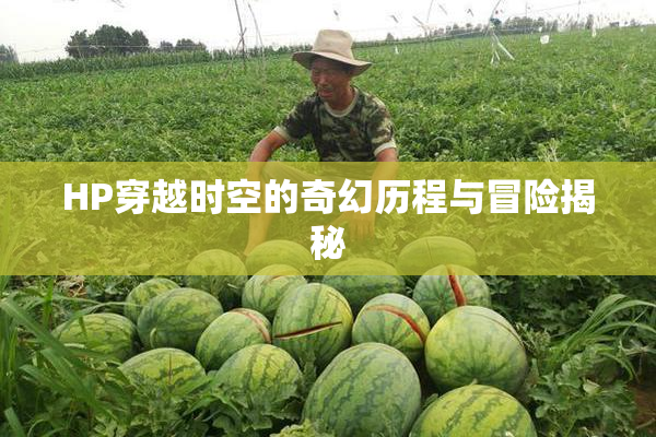 HP穿越时空的奇幻历程与冒险揭秘