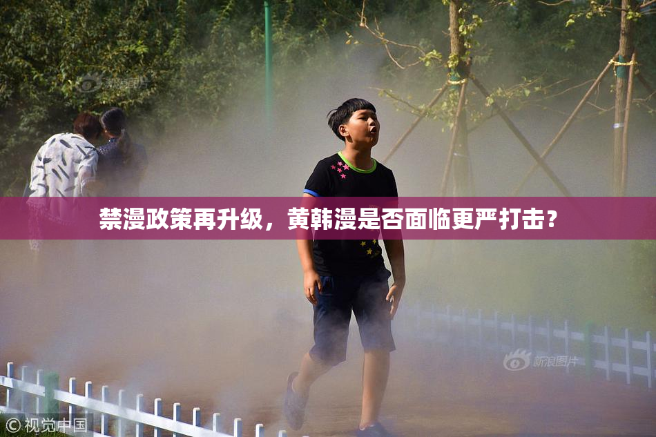 禁漫政策再升级，黄韩漫是否面临更严打击？