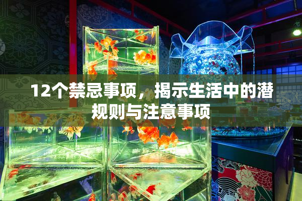 12个禁忌事项，揭示生活中的潜规则与注意事项