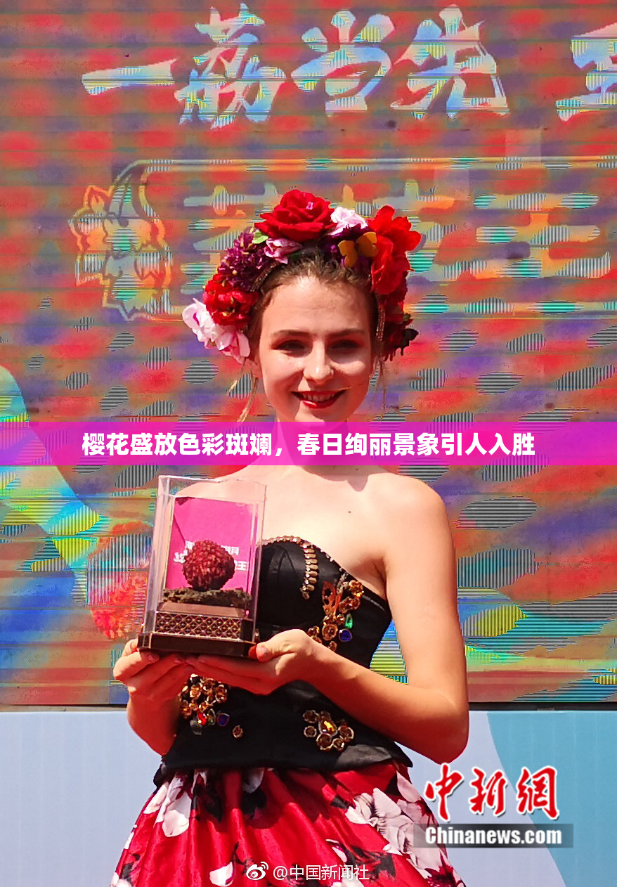 樱花盛放色彩斑斓，春日绚丽景象引人入胜