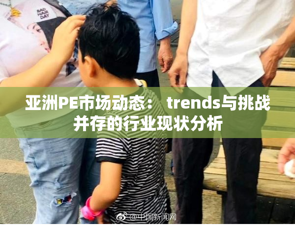 亚洲PE市场动态： trends与挑战并存的行业现状分析