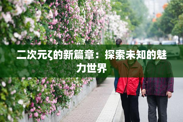二次元ζ的新篇章：探索未知的魅力世界