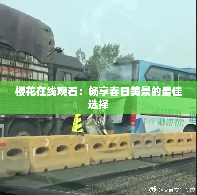 樱花在线观看：畅享春日美景的最佳选择
