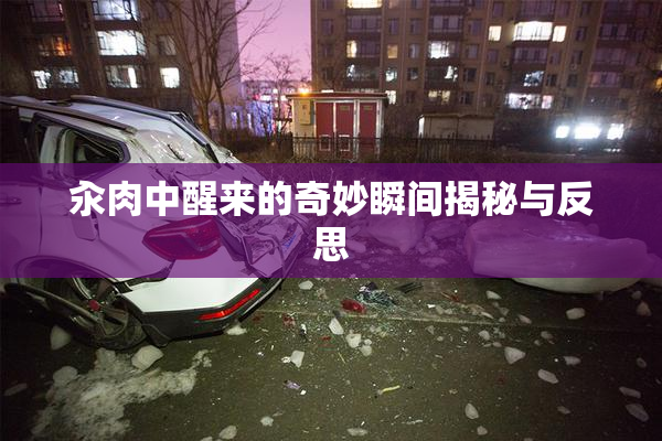 汆肉中醒来的奇妙瞬间揭秘与反思