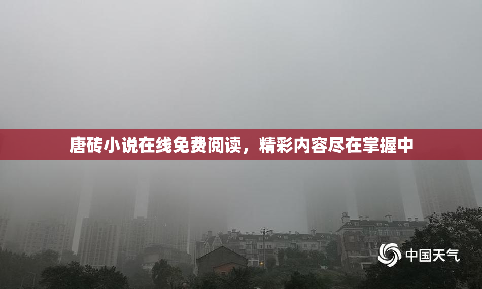 唐砖小说在线免费阅读，精彩内容尽在掌握中