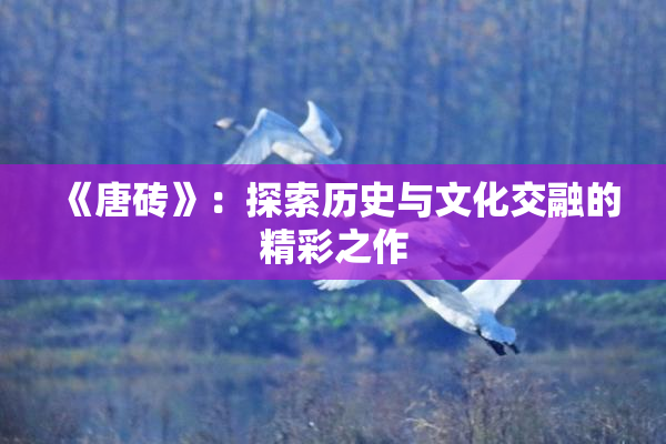 《唐砖》：探索历史与文化交融的精彩之作