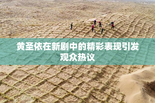 黄圣依在新剧中的精彩表现引发观众热议