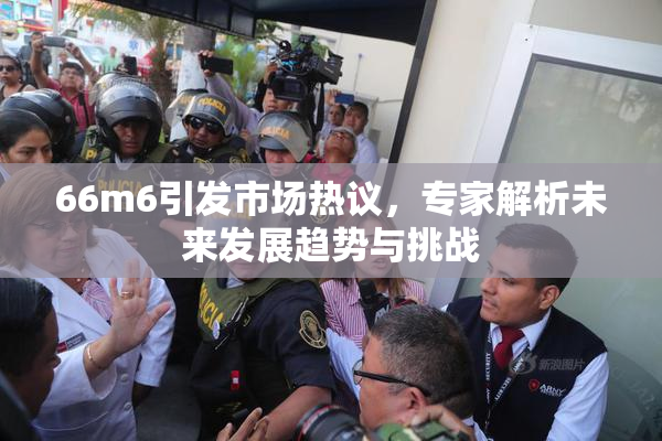 66m6引发市场热议，专家解析未来发展趋势与挑战