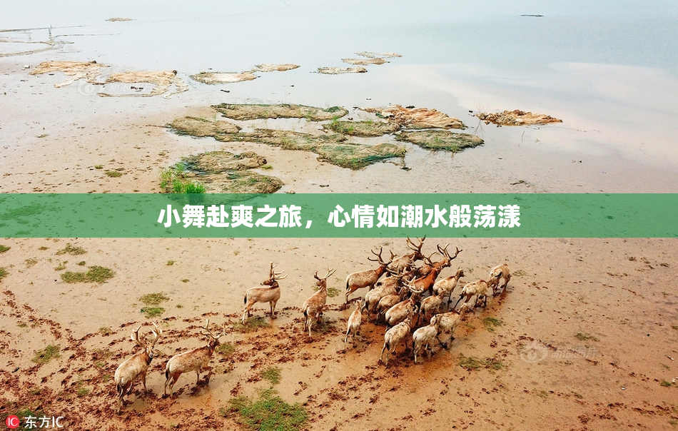 小舞赴爽之旅，心情如潮水般荡漾