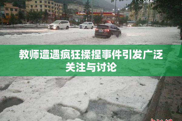 教师遭遇疯狂揉捏事件引发广泛关注与讨论