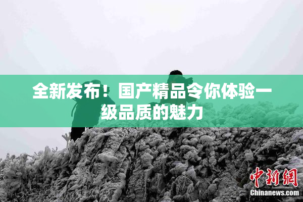 全新发布！国产精品令你体验一级品质的魅力