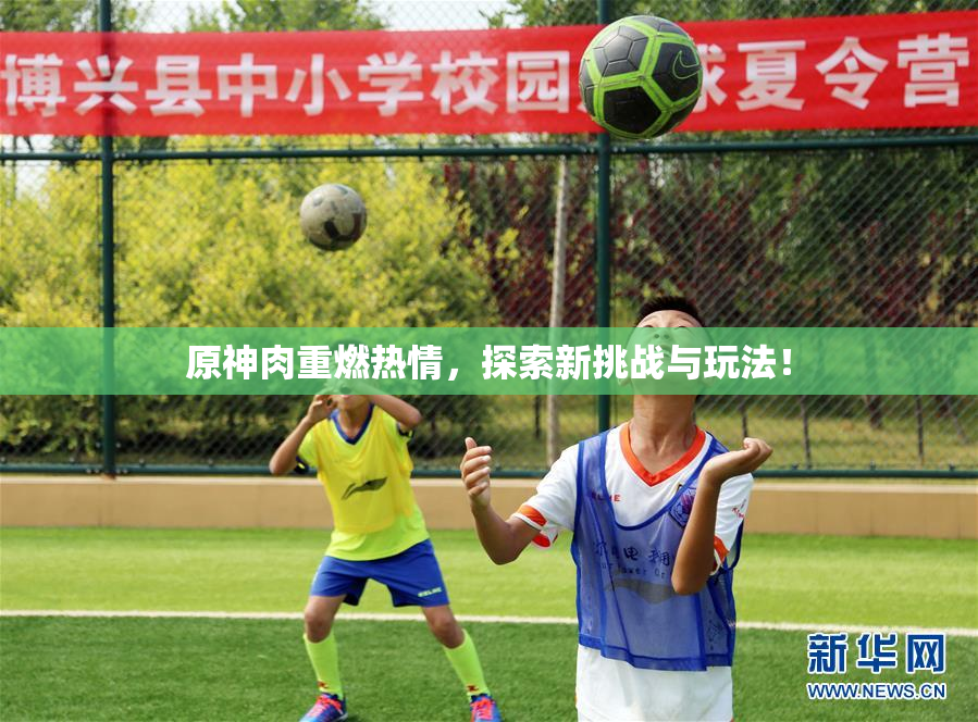 原神肉重燃热情，探索新挑战与玩法！