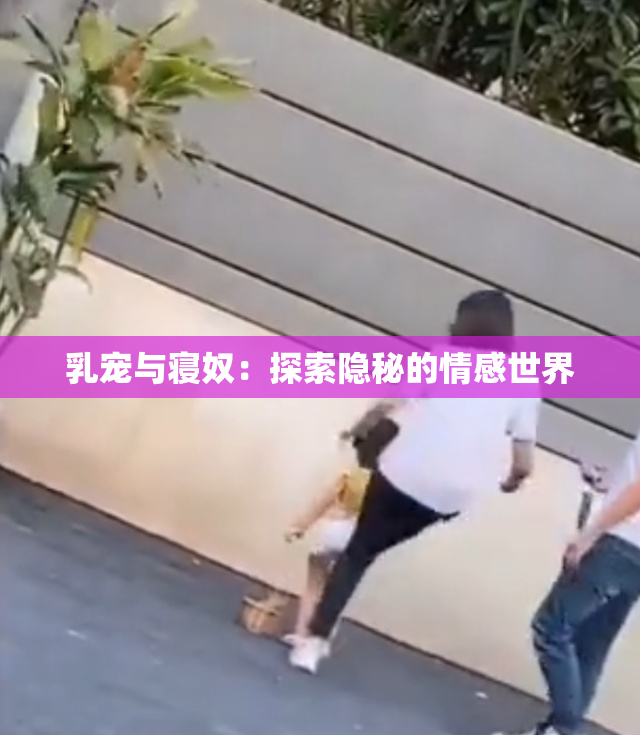 乳宠与寝奴：探索隐秘的情感世界