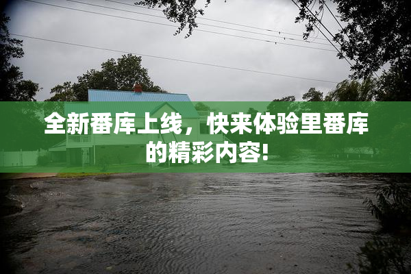 全新番库上线，快来体验里番库的精彩内容!