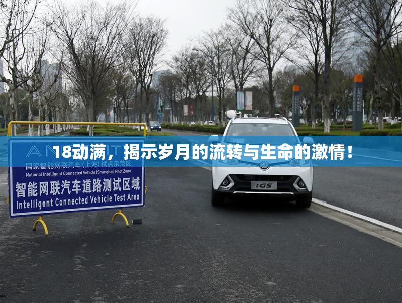 18动满，揭示岁月的流转与生命的激情！